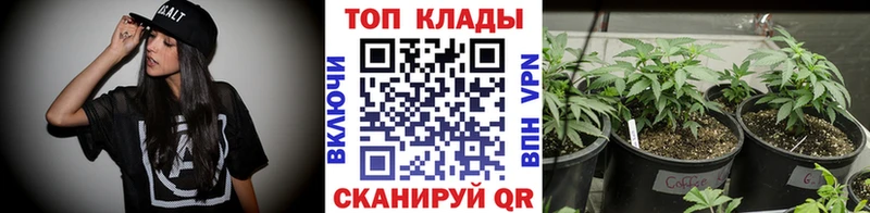 Где купить наркотики Верещагино ГАШ  Alpha PVP  Мефедрон  МЕТАДОН  Марихуана 