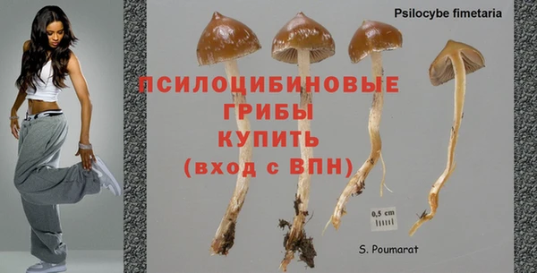 меф Арсеньев